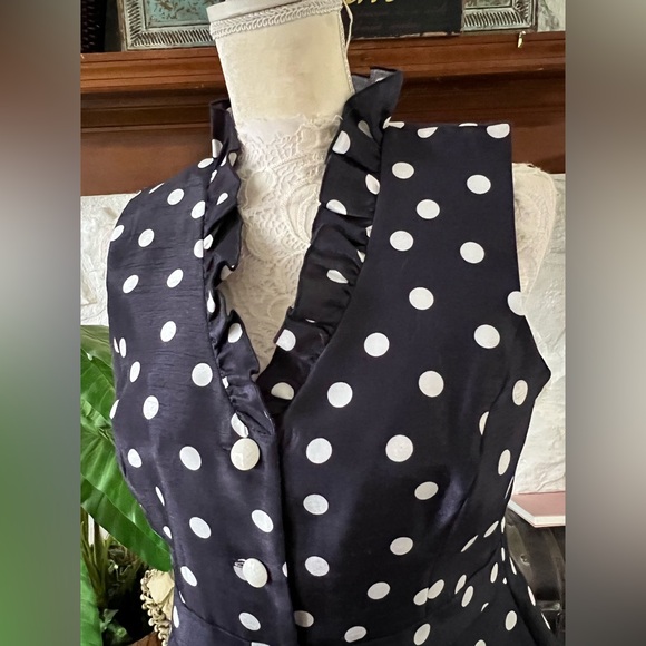 Danny & Nicole Blue and White Polka Dot Ruffle Sleeveless Top Size 12P - Picture 4 of 6